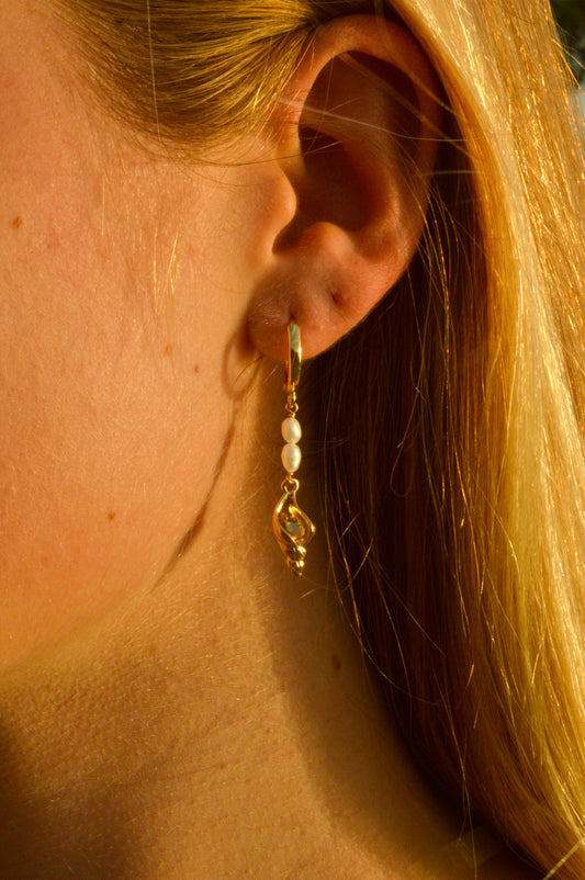 Conch Shell Earrings