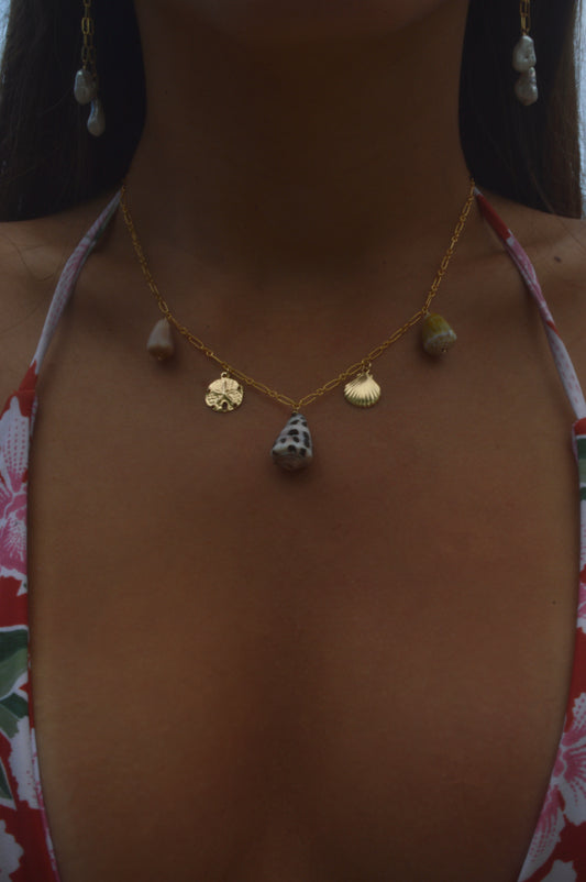 Shell Charm Necklace